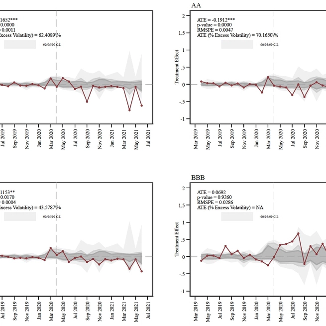 Liquidity and Volatility in the Municipal Bond Market: Evidence from the Municipal Liquidity Facility and other early interventions